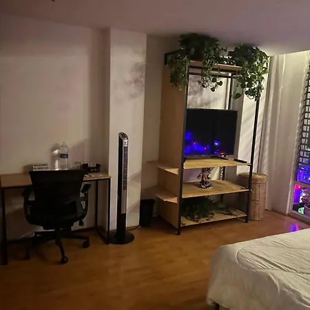 Lovely Room In Roma Norte